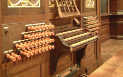 Organ image1