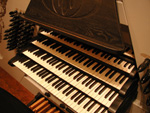 Organ image3