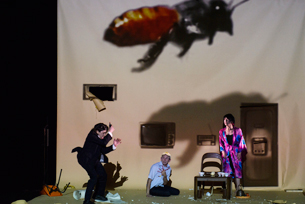 『THE BEE』English version ワールドツアー2013イスラエル・フェスティバル
