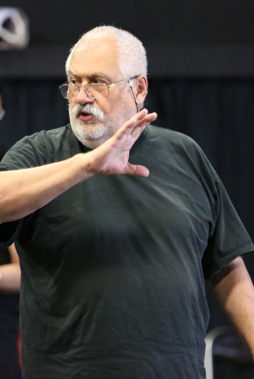Silviu Purcarete